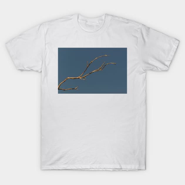 Branch T-Shirt by Geoff79